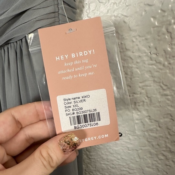 NWT Birdy Grey Kiko Dress in Mesh Silver - Picture 3 of 4